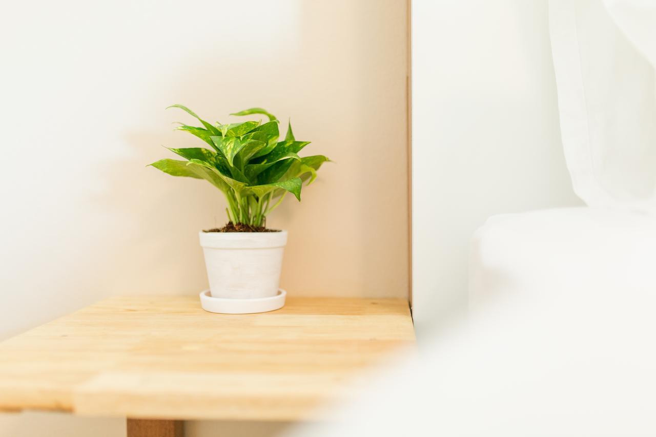 Habitat Hotel Chiang Mai Bagian luar foto